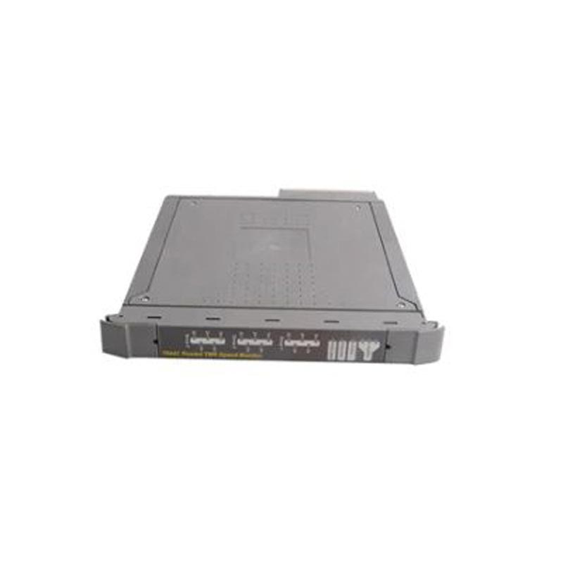 ICS Triplex T8086 - 2